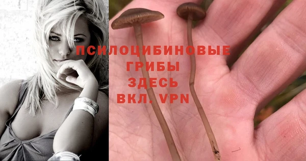 таблы Балабаново