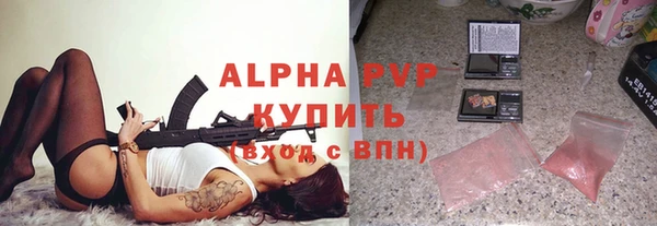 прущие грибы Баксан