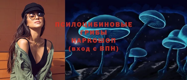шишки Аркадак