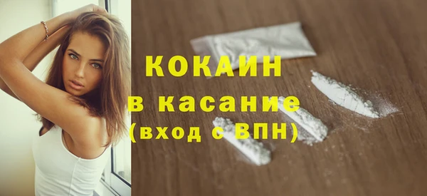 шишки Арсеньев
