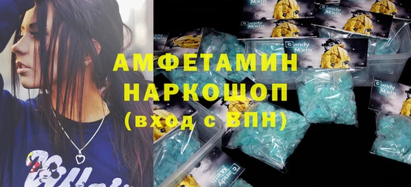шишки Аркадак