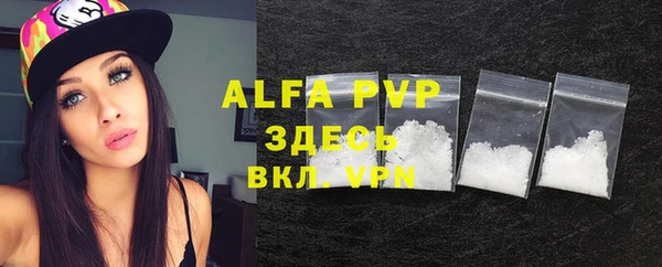 шишки Арсеньев
