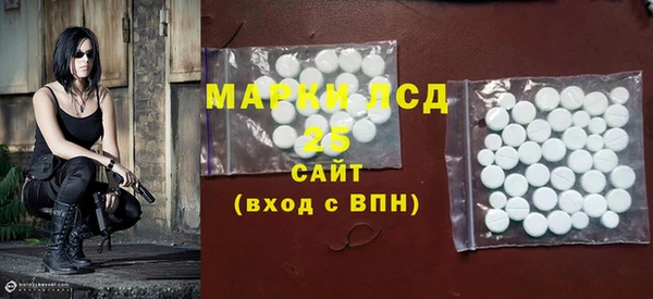 шишки Аркадак