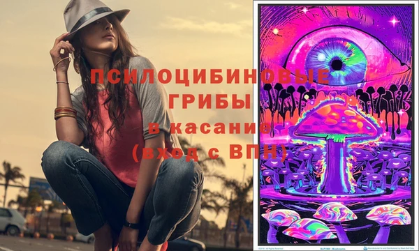 мяу мяу мука Алексеевка